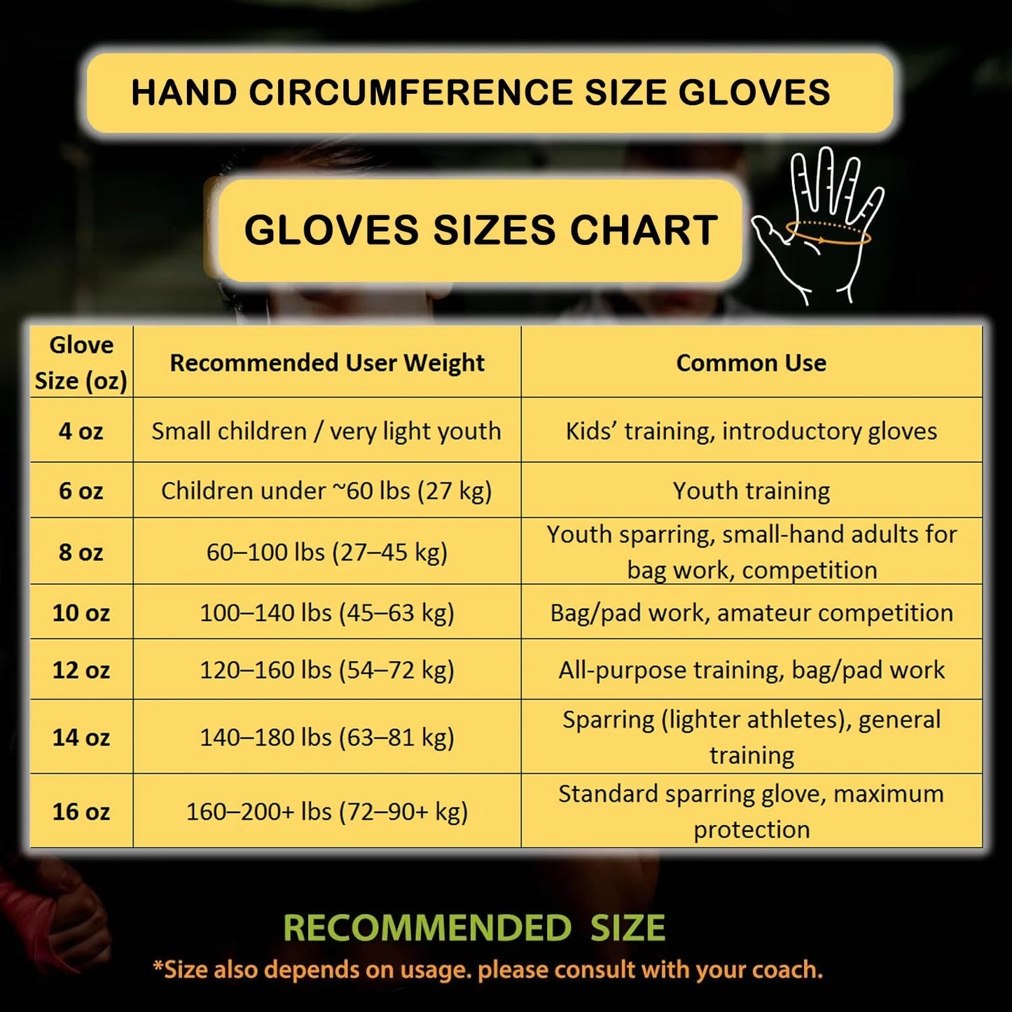 MAR-112D | Black Boxing & Kickboxing Gloves - Gloves