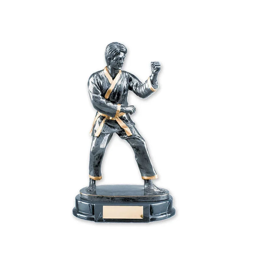 MAR-313 | Male Karate Trophy Award - Trophy Accessories