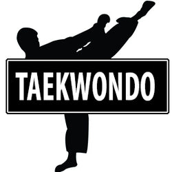 Taekwondo Discipline