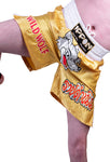 MAR-095I | Gold Kickboxing & K1 Shorts w/ Silver Fox Emblem