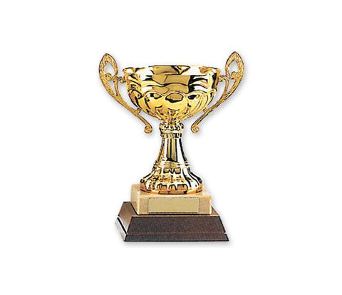 MAR-309 | Gold Plated Metal Trophies - quality-martial-arts