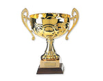 MAR-309 | Gold Plated Metal Trophies - quality-martial-arts