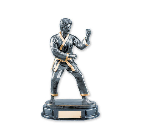 MAR-313 | Male Karate Trophy Award